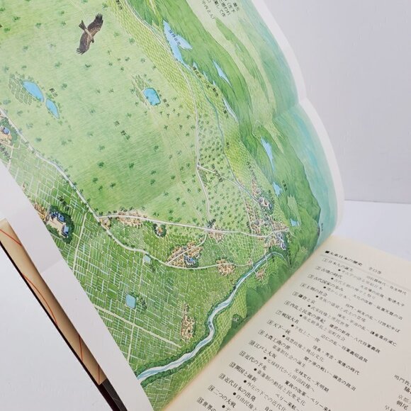 History of Birdman Japan Century Civil War & People Japanese Book Nagahara 1988 - Picture 4 of 12